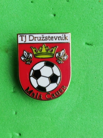 TJ DRUŽSTEVNIK MALA ČAUSA (SLOVENSKO)